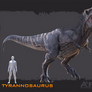 Apex Dinosaur Profile: Tyrannosaurus