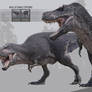 Tyrannosaurus Rex for Daz3D 05