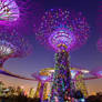 Gardens by the Bay