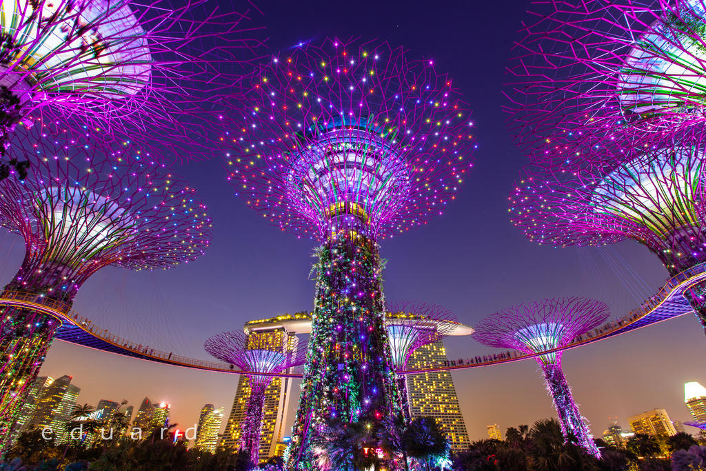 Gardens by the Bay by eduardj