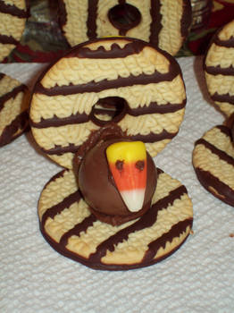 BG: T2k9 Turkey Cookies 002