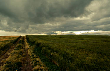 Stormy Skies