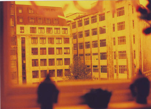 Redscale Architecture