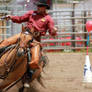 Cowboy Mounted Shooting 02