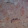 Cork No.2