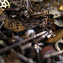 Gears cogs clockwork No.2