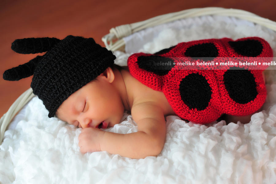 Model Lettybug ladybug by mellyke on DeviantArt