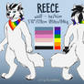 Ref Sheet Commission