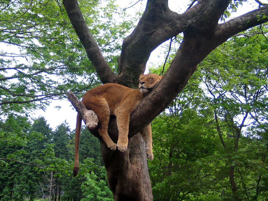 Hangin' Around