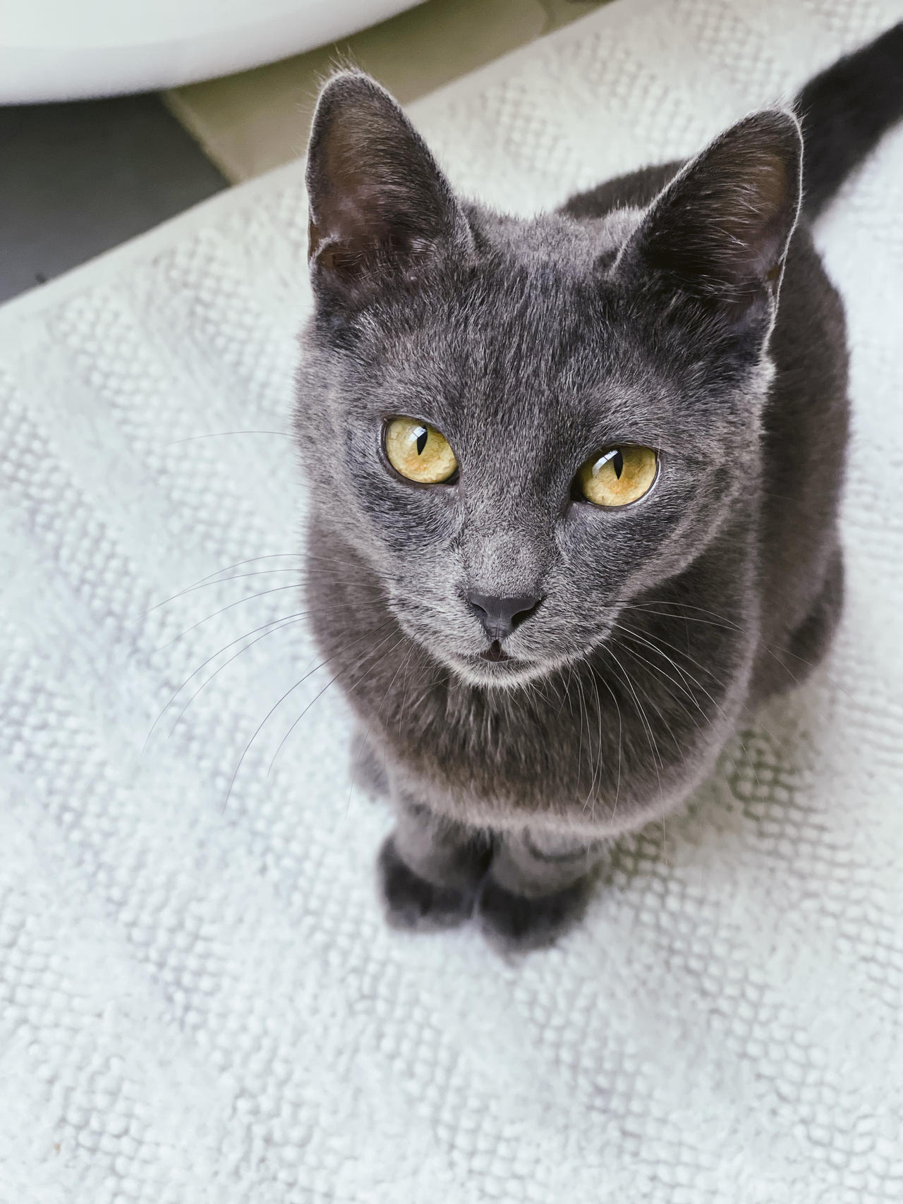 This is Riot by spyed on DeviantArt