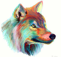 Rainbow Wolf