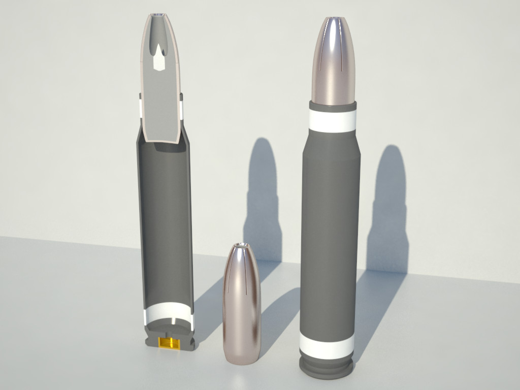 Ammo Types: Hollow Point Bullet