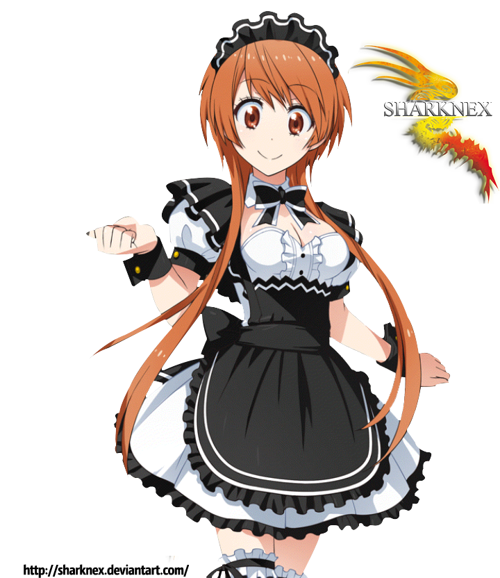 nisekoi marika maid