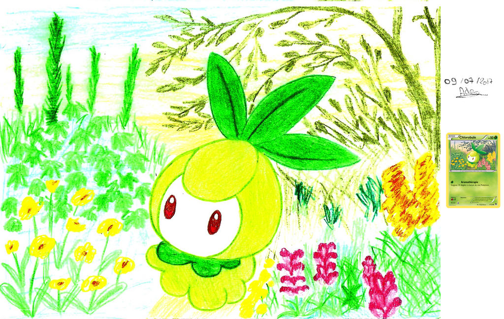 carte chlorobule by Adegameuse on DeviantArt