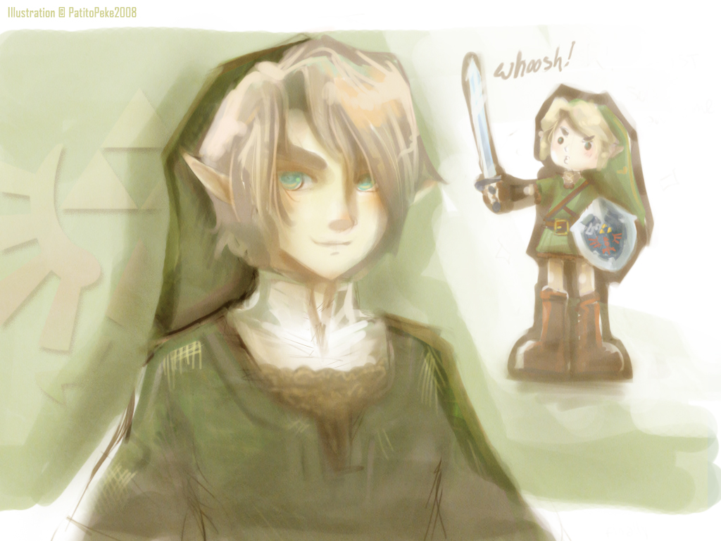 TLoZ. Twilight Princess Link