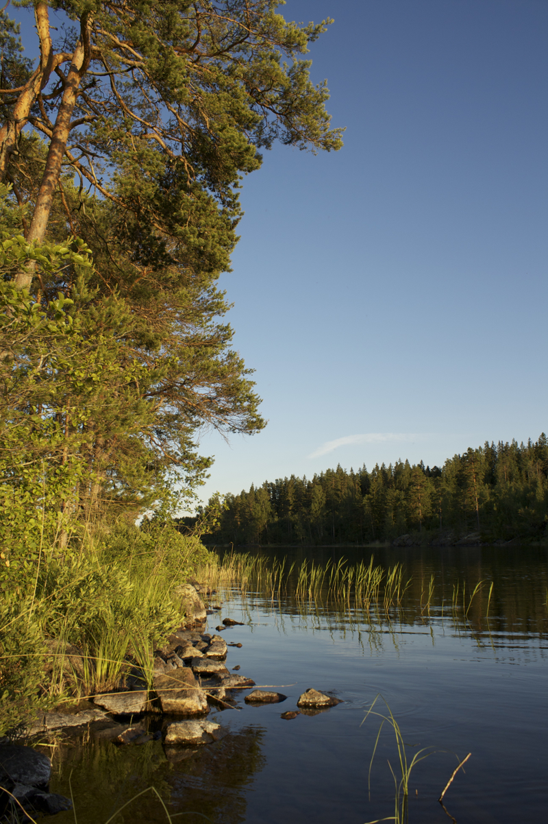 Swedish Island