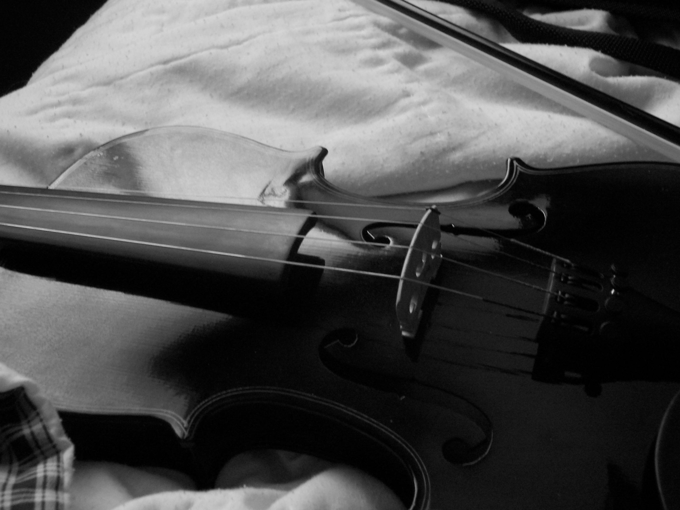 Violin black and white by WhatIsThis on DeviantArt Violin black and white by WhatIsThis on DeviantArt