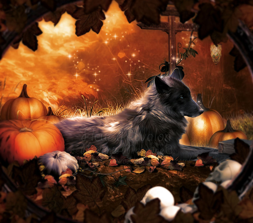 Pumpkin Wolf