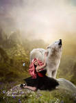 Beauty and the Wolf