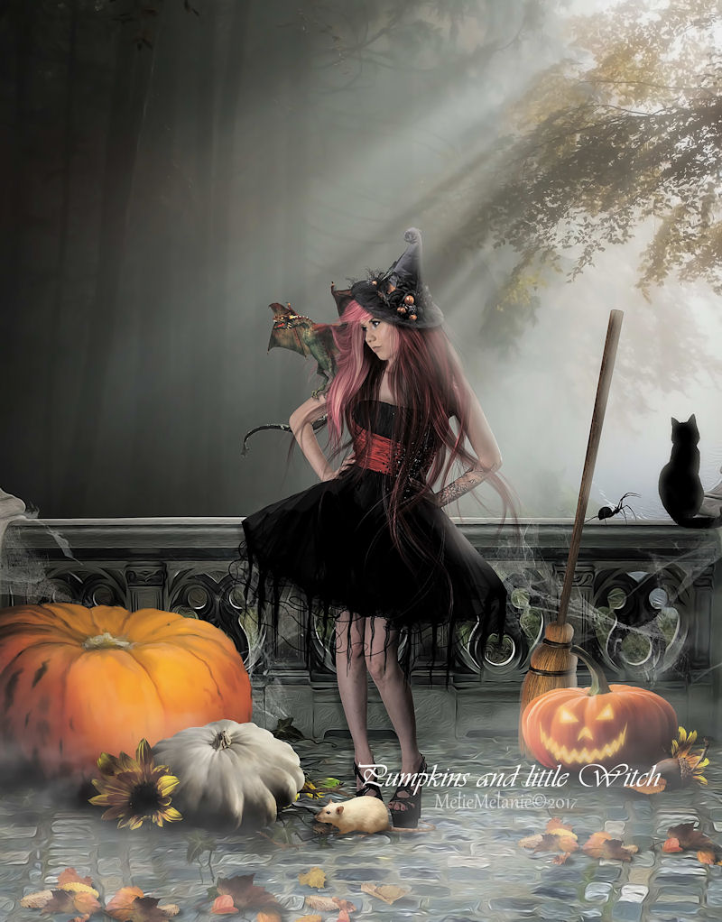 Pumpkins and little Witch