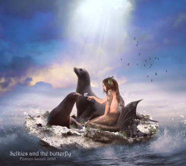 Selkies and the butterfly