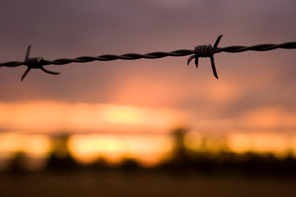 Fenced From The Sunset