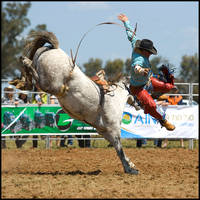 How to Dismount a Horse