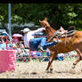 Stylish Dismount