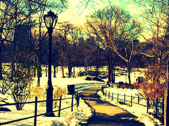 Central Park