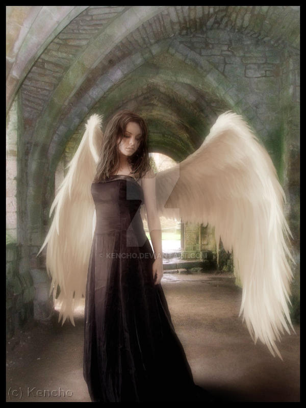 Wandering Angel
