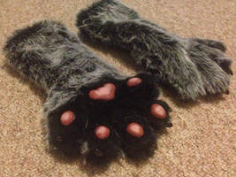 Handpaws Sept 2014