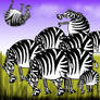 zebra herd