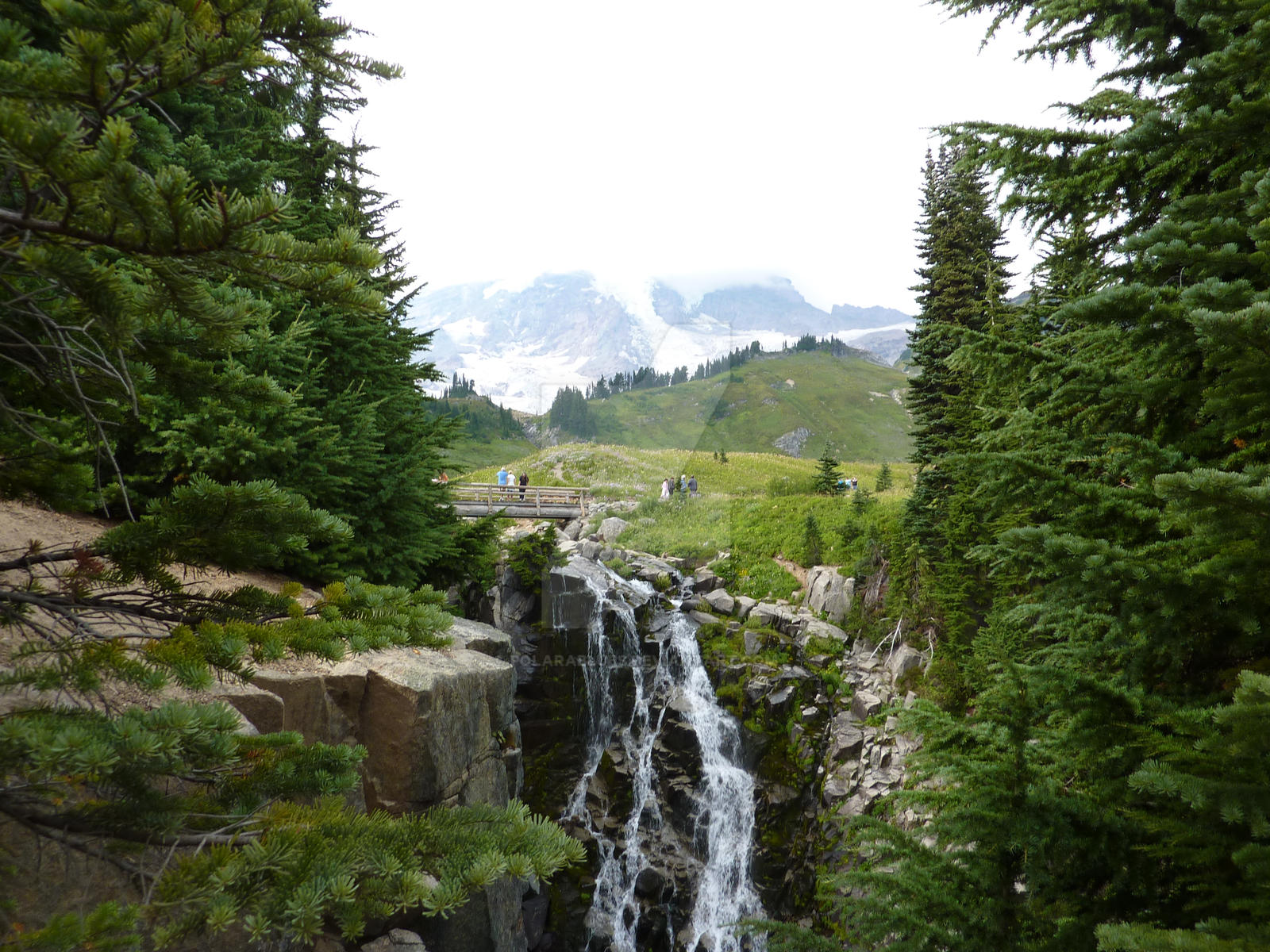 View Above the Falls