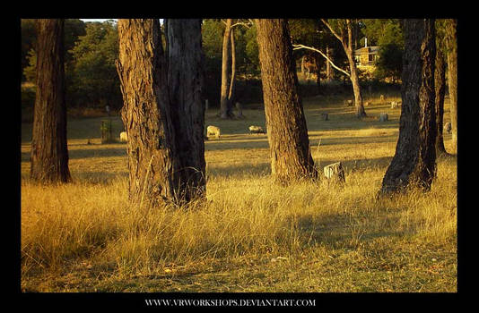 Rural Australia