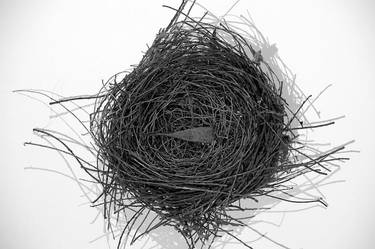 NEST