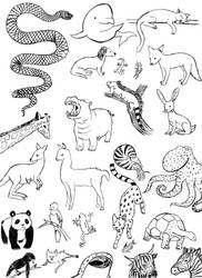 ABC animal practice