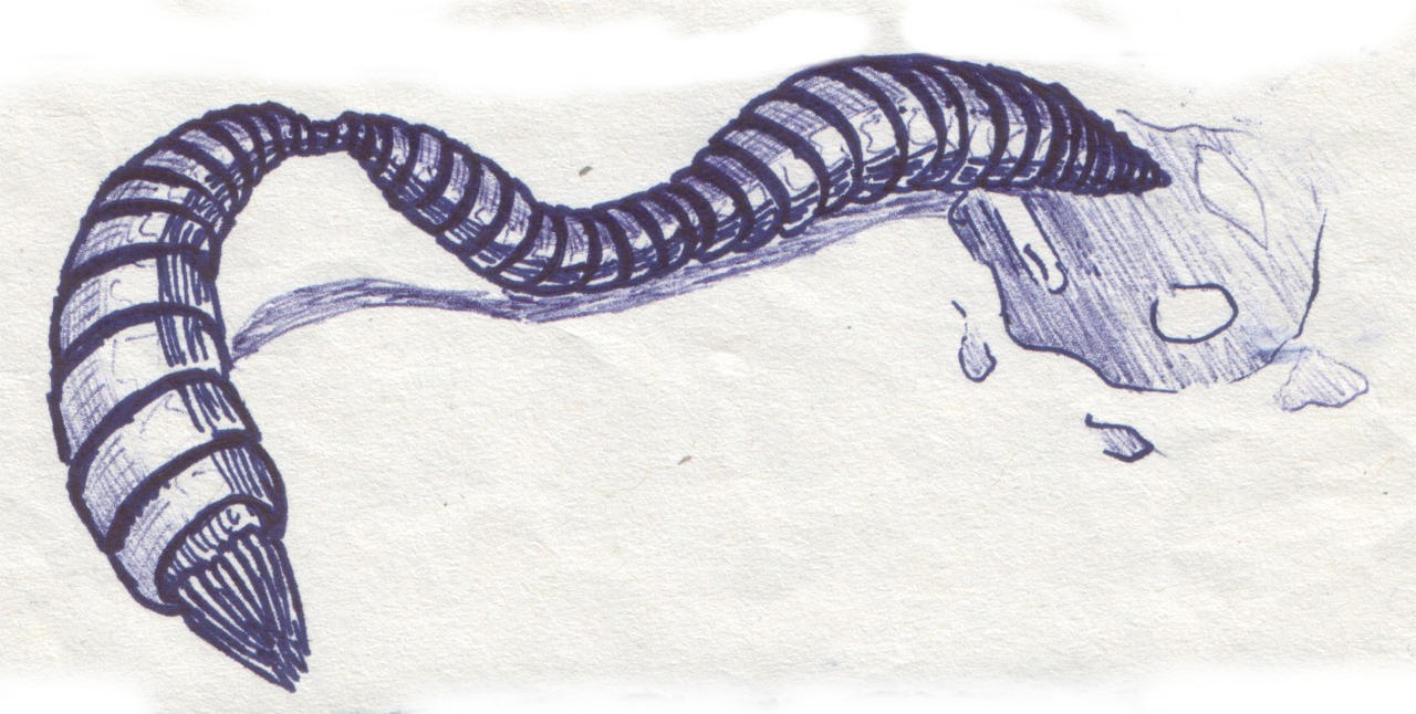 Metal Worm by Novyal on DeviantArt