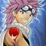 fairy tail Natsu