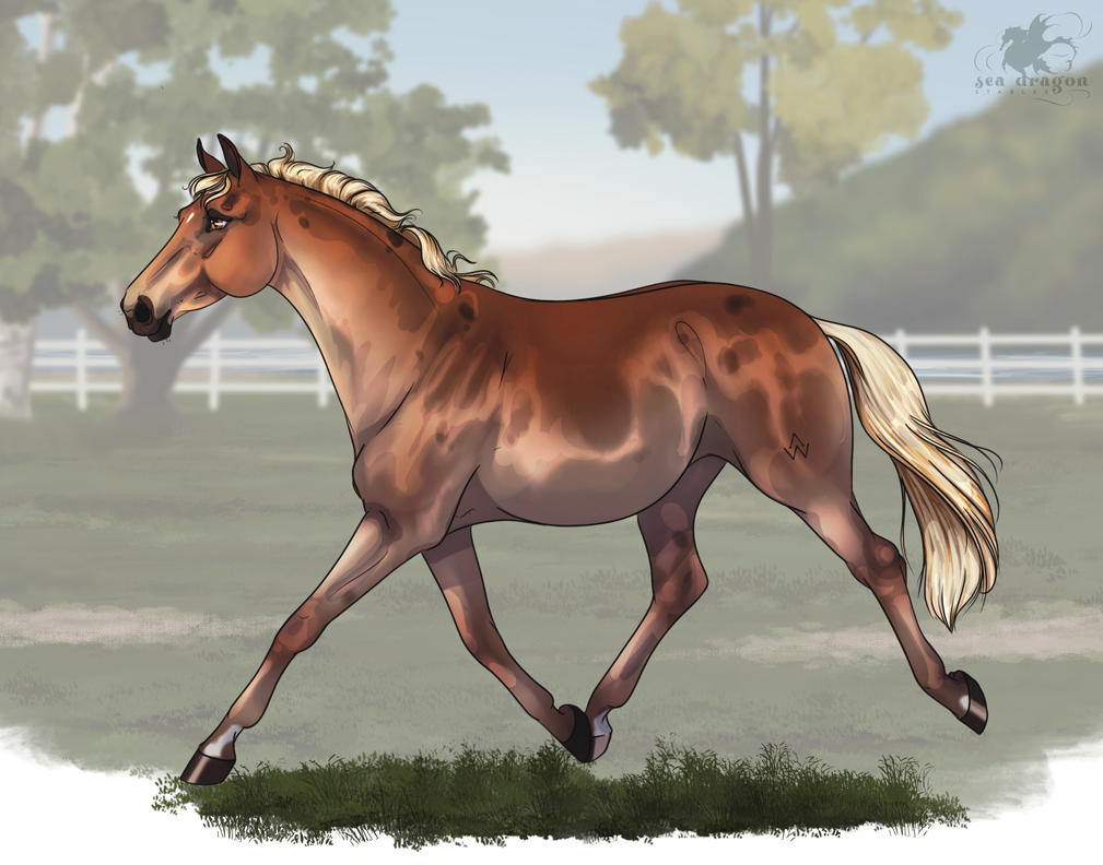 SDS Lost At Sea By CubanacanWarmbloods On DeviantArt SDS Lost At Sea By CubanacanWarmbloods On DeviantArt