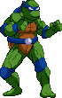 Cvs Ninja turtle