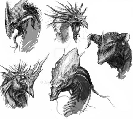 Dragon heads sketches