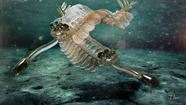 Opabinia 