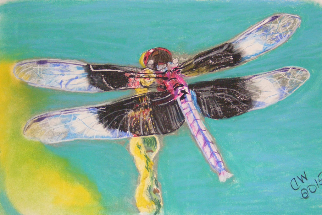 dragonfly 1 by Crittermama21 on DeviantArt