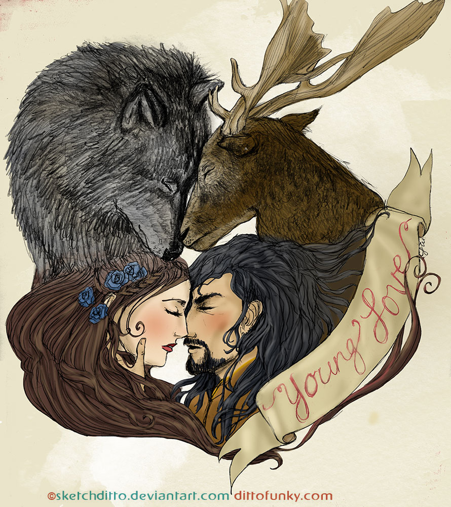 The Stag and the Wolf - color