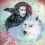 The Crow and the Wolf 02