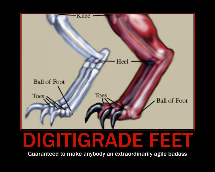 Digitigrade feet by S1ck-Genius on DeviantArt