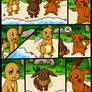 Swimming Contest