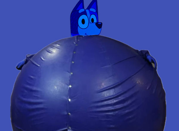 Chilli Heeler's Blueberry Inflation by drawingboy12 on DeviantArt