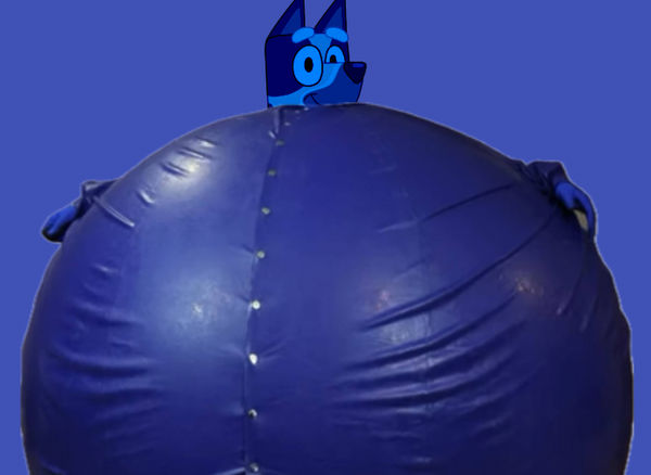 Bluey Heeler s Blueberry Inflation By Drawingboy12 On DeviantArt bluey-heeler-s-blueberry-inflation-by-drawingboy12-on-deviantart