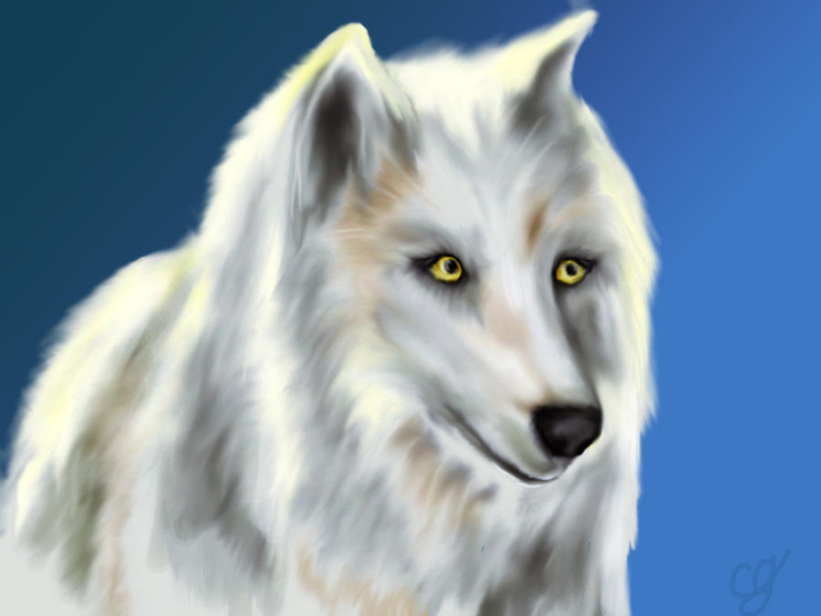 Whitewolf by Hikari483 on DeviantArt